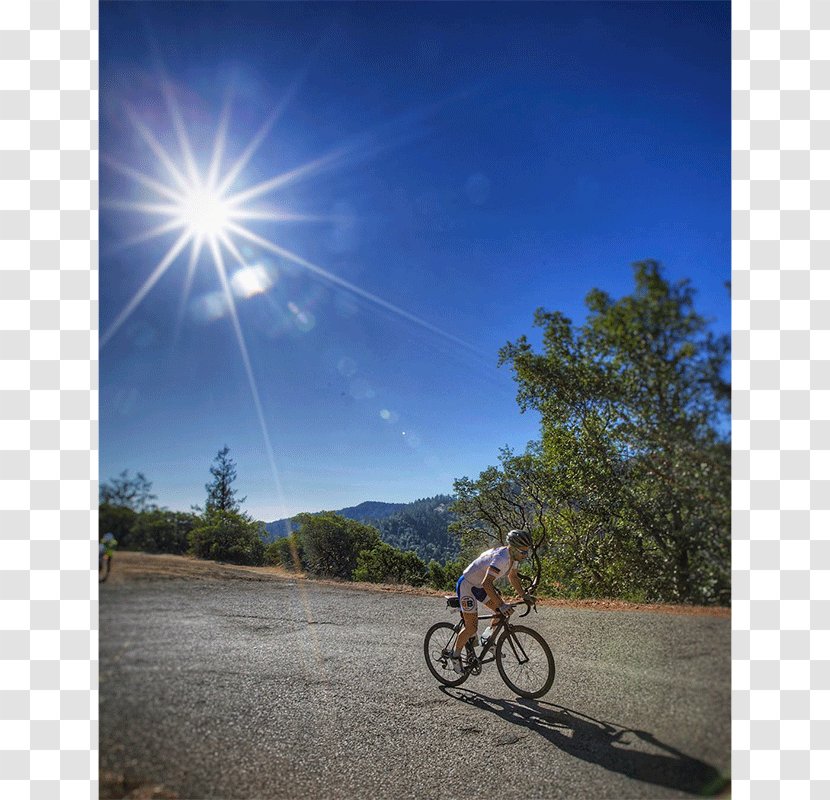 Road Bicycle Cycling Racing Hybrid - Sunlight Transparent PNG