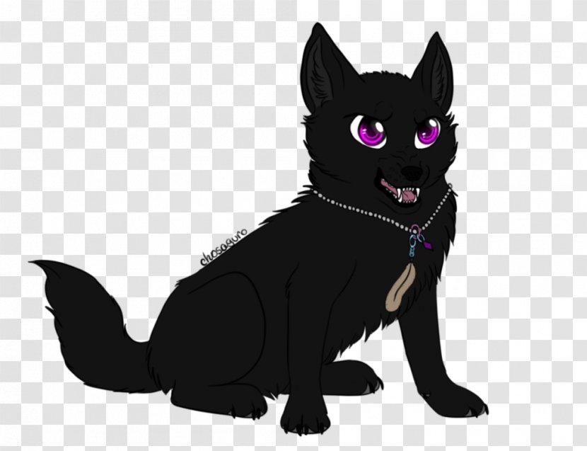 Black Cat Whiskers Domestic Short-haired Dog - Kitten Transparent PNG