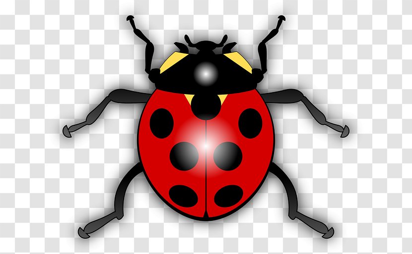 Ladybird YouTube Clip Art - Beetle - Youtube Transparent PNG