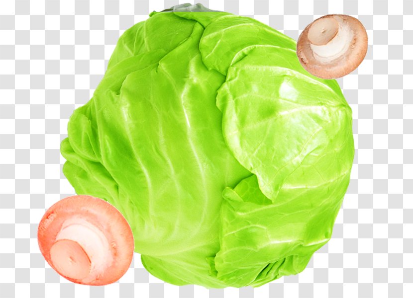 Israeli Salad Fruit Cabbage Vegetable - Creative Transparent PNG