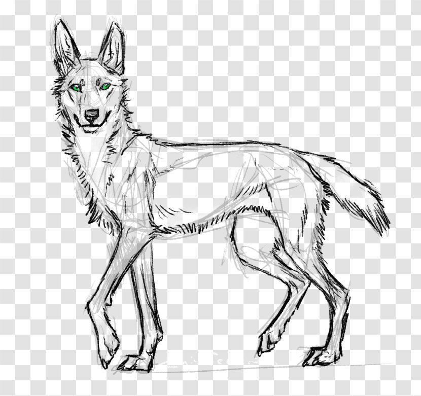 Dog Breed Red Fox Line Art Drawing - Artwork Transparent PNG