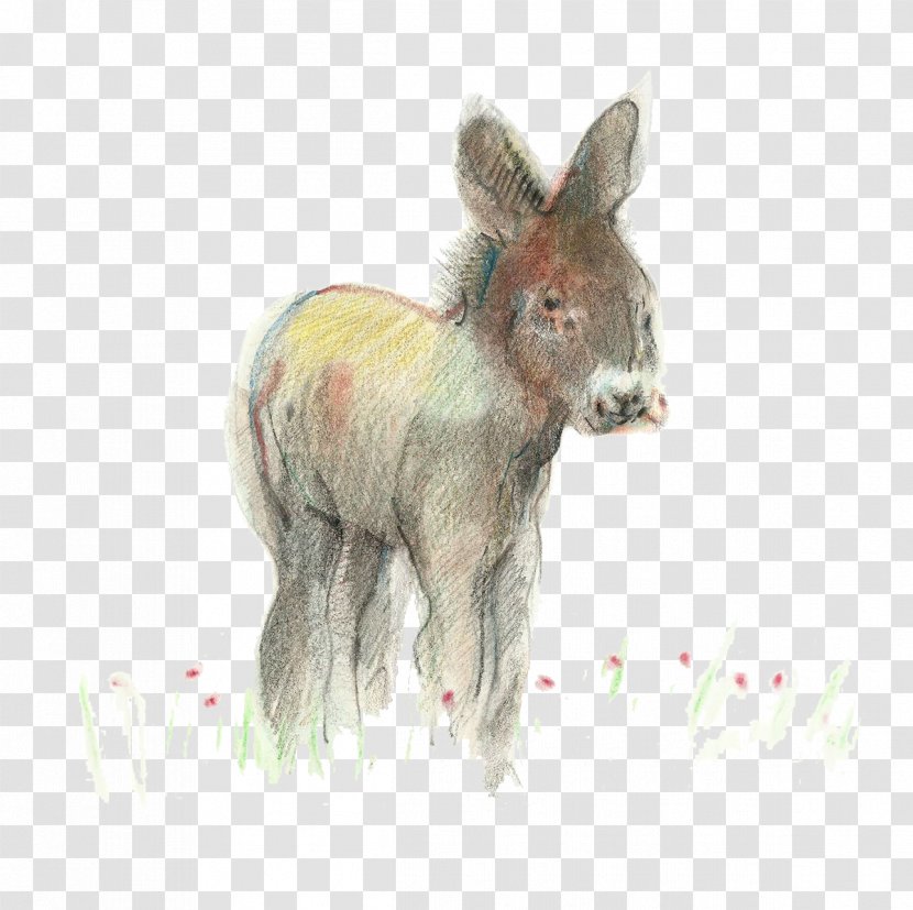 Illustrator Illustration - Calendar - Hand-painted Pattern Donkey Transparent PNG