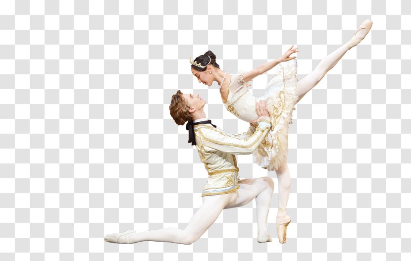 Performing Arts Ballet Dancer Modern Dance - Silhouette - Sleeping Beauty Transparent PNG