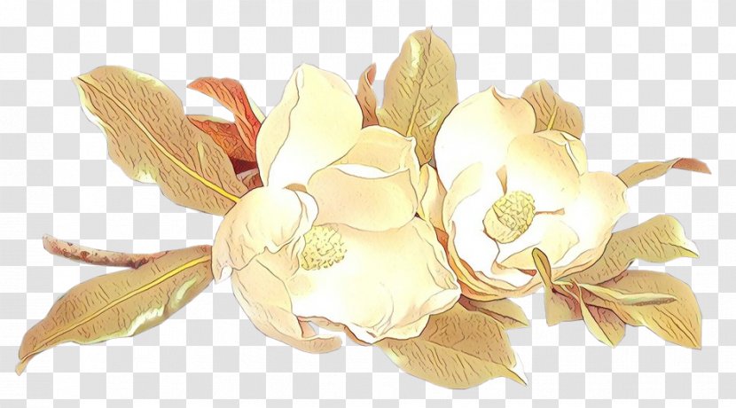 Cut Flowers Petal Plants - Yellow - Bouquet Gardenia Transparent PNG