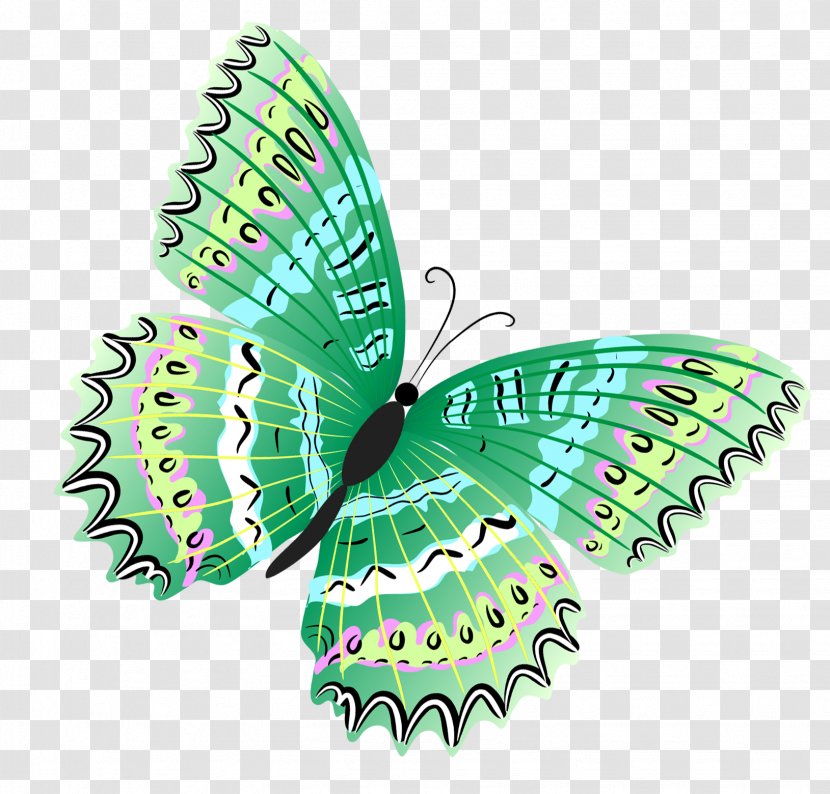 Butterfly Green Clip Art - Monarch - Clipart Transparent PNG