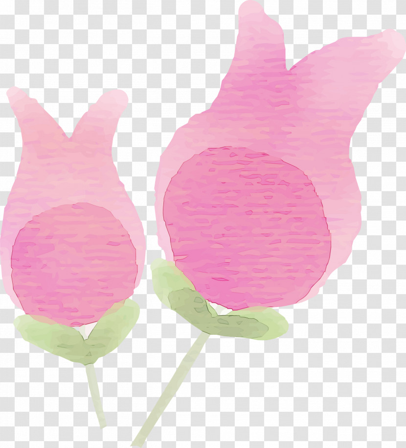 Cut Flowers Flower Petal Tulip Plants Transparent PNG