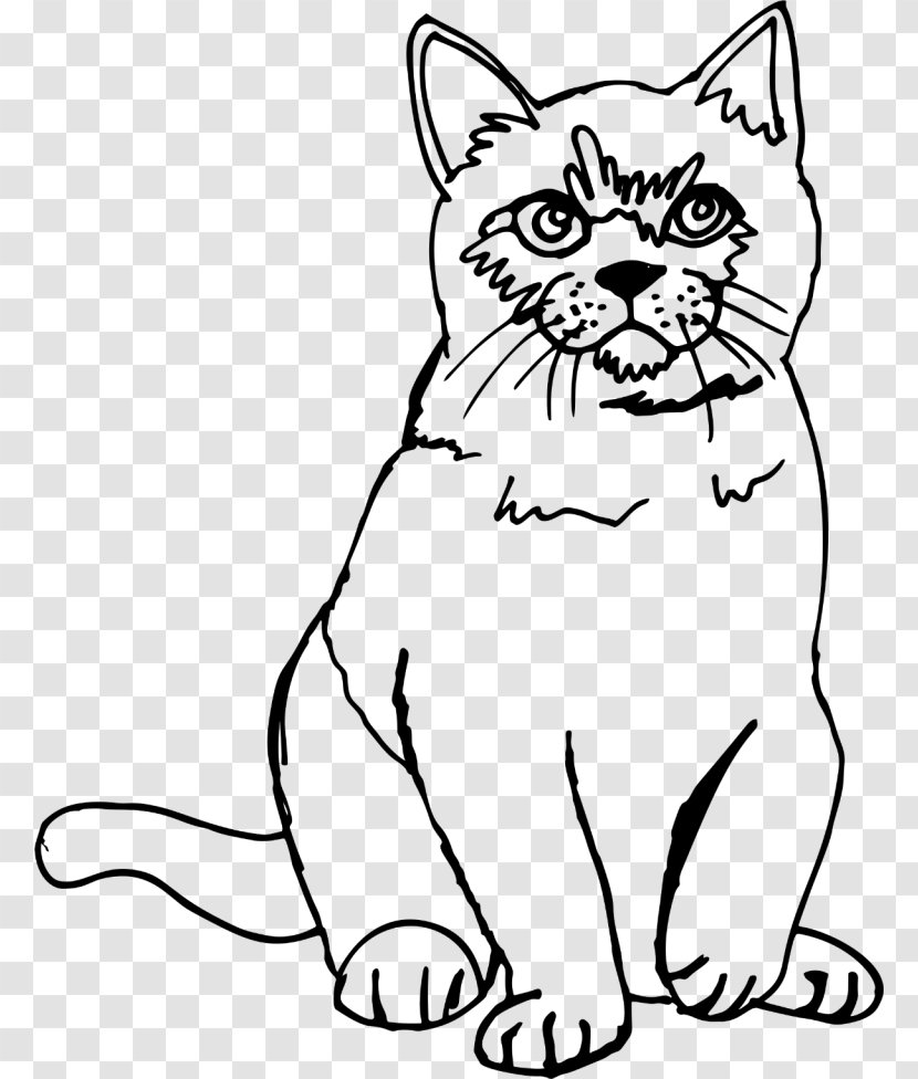 Kitten Sphynx Cat Line Art Drawing Sketch - Paw Transparent PNG