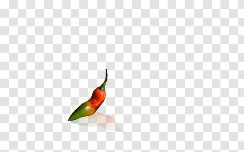 Hummingbird M Chili Pepper Peppers Beak Transparent PNG