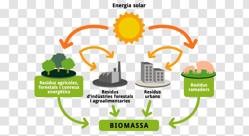 Renewable Energy Biomass Bioenergy Solar - Diagram - Energia Organismo Transparent PNG