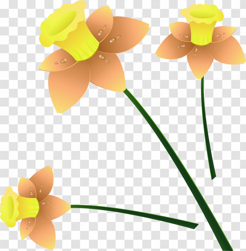 Willow Diary Palm Sunday Clip Art - Daffodil - Flowering Plant Transparent PNG