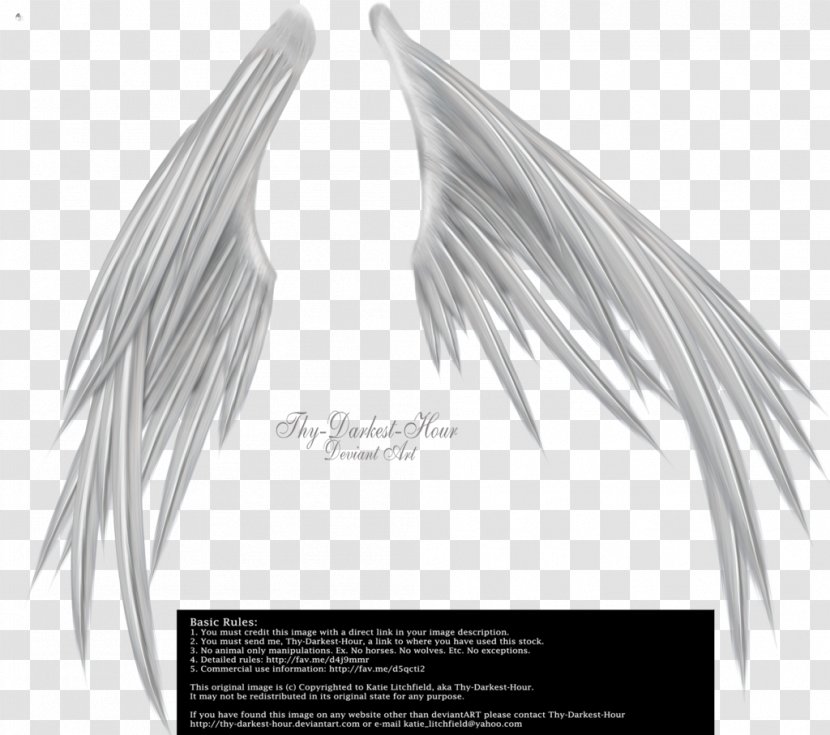 Silver - Information - Feather Transparent PNG