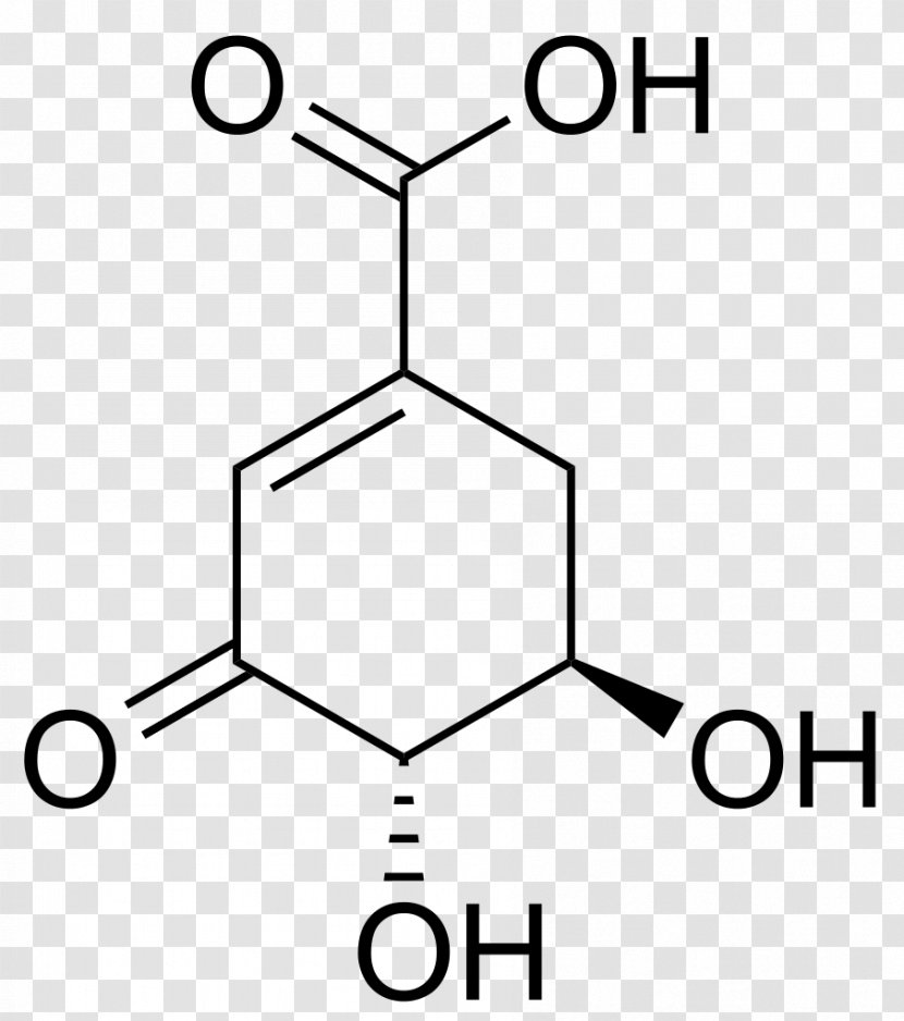 Ankleshwar Benzamide Resorcinol Acid Chemistry - Shikimic Transparent PNG