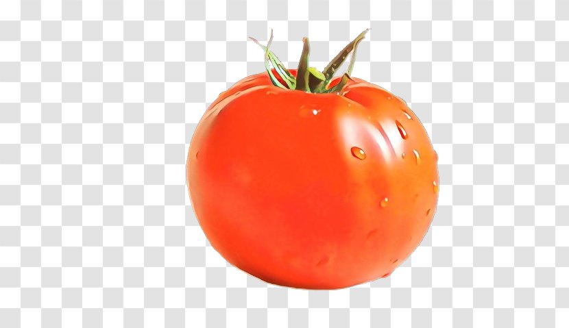 Tomato - Solanum - Bush Plant Transparent PNG