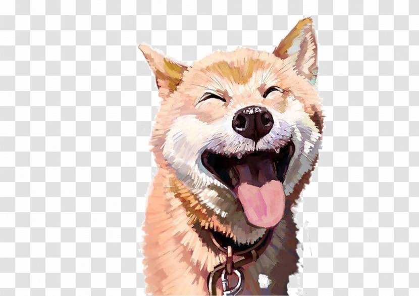 Doge T-shirt Cat - Ifwe - Laughing Dog Transparent PNG