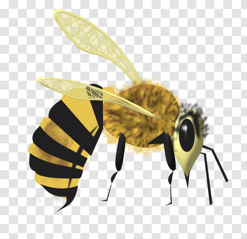 Honey Bee Cartoon Transparent PNG