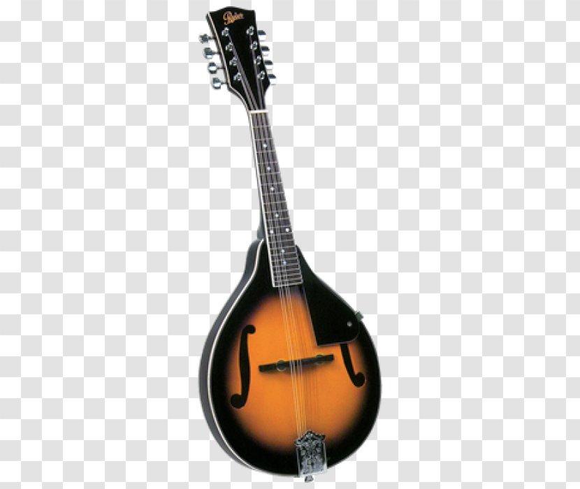 Mandolin Acoustic Guitar Acoustic-electric Tiple Musical Instruments - Cartoon Transparent PNG