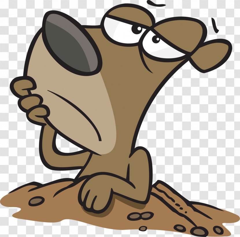 Groundhog Day Cartoon Clip Art - Amphibian - Pictures Of Ground Hogs Transparent PNG