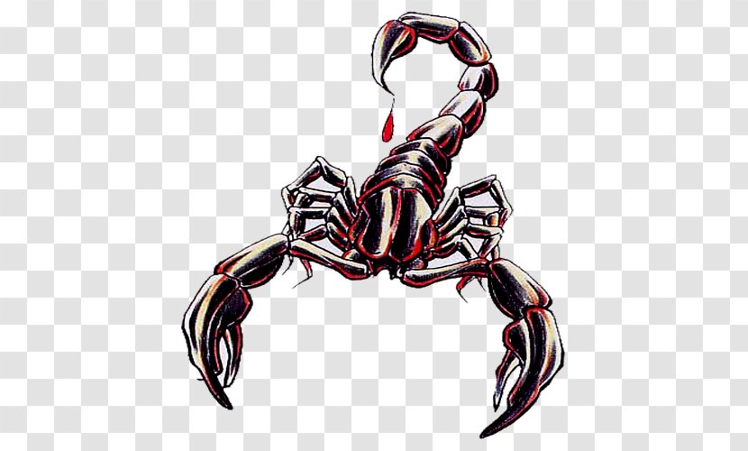 Scorpion Animal - Cupcake - Alice No Pais Das Maravilhas Transparent PNG