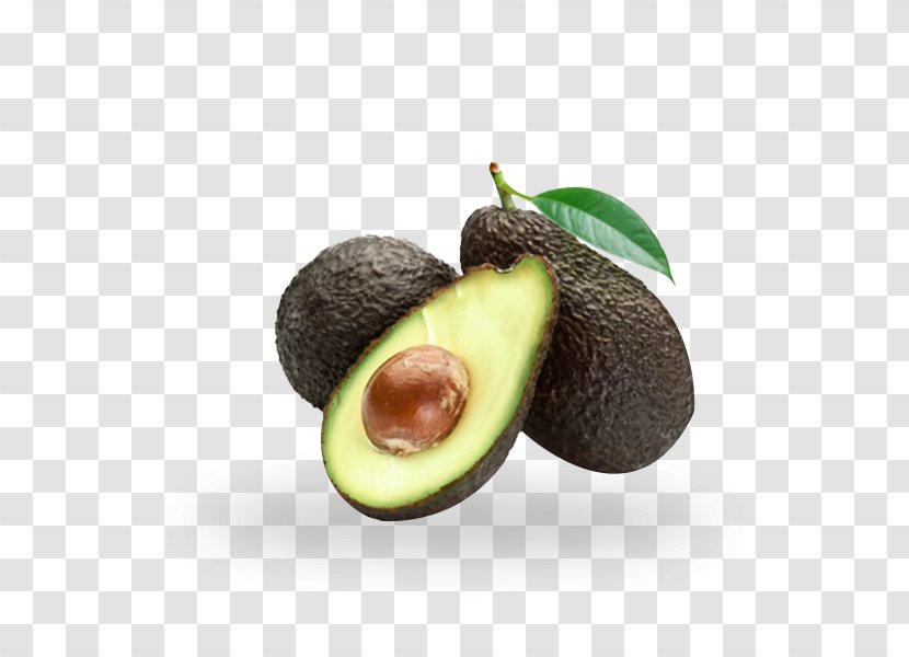 Mexican Cuisine Hass Avocado Production In Mexico Guacamole Vegetarian - Tree - Alpukat Graphic Transparent PNG