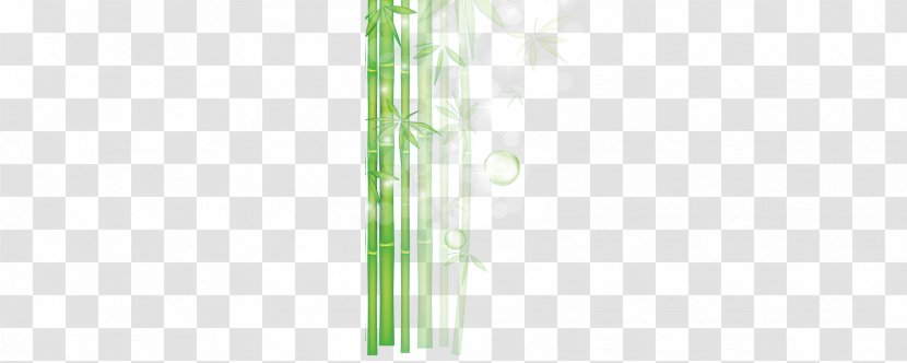 Plant Stem - Green - Cartoon Bamboo Decoration Transparent PNG