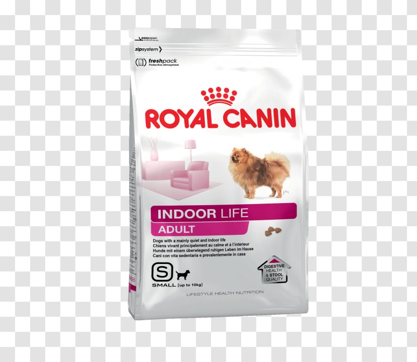 Poodle Labrador Retriever Royal Canin Dog Food Pet - Puppy Transparent PNG