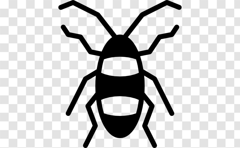 Cockroach Insect Clip Art - Line Transparent PNG