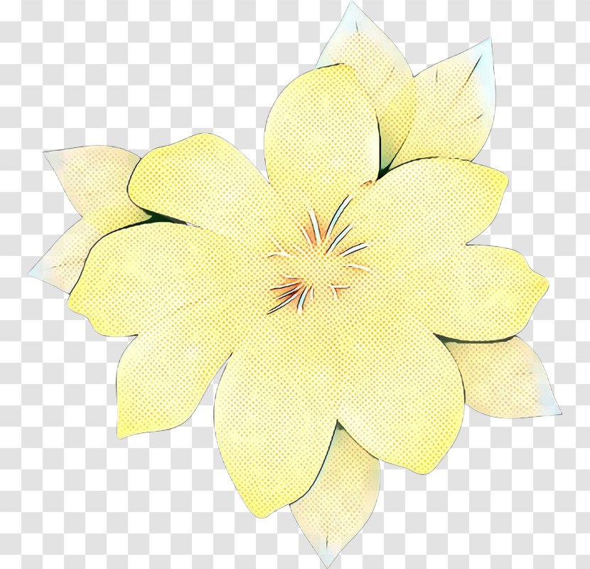 Cut Flowers Floristry Petal Yellow Flowering Plant - Plants Transparent PNG