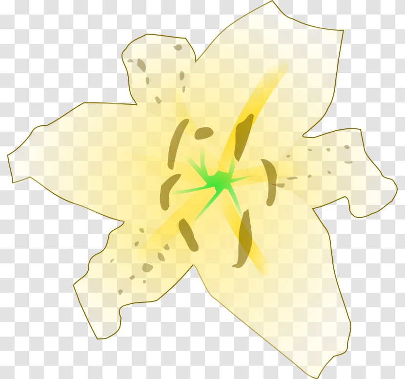 Download Clip Art - Yellow - Drawing Transparent PNG