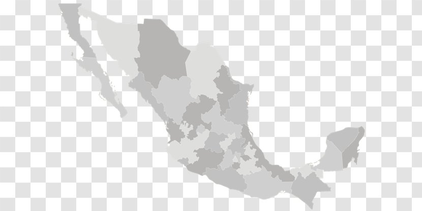 Mexico State Puebla Administrative Divisions Of Map - White Transparent PNG