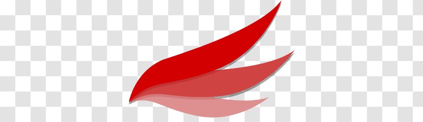 Logo Graphic Design - Adobe Fireworks Transparent PNG