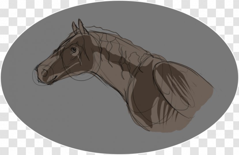 Mane Rein Mustang Pony Halter - Drawing Transparent PNG