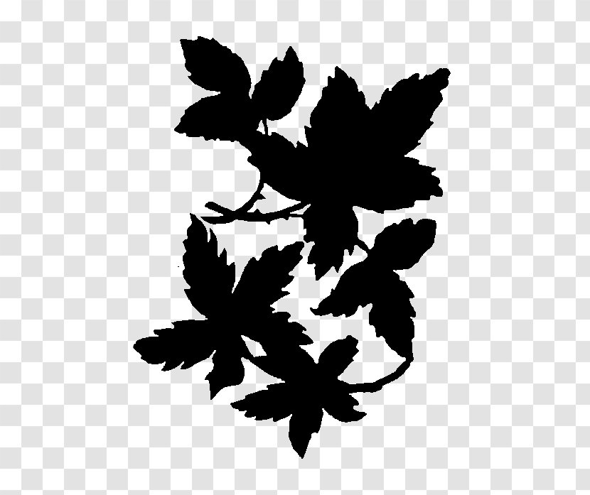 Flower Pattern Font Silhouette Leaf - Grape Leaves - Plants Transparent PNG