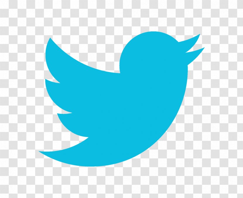 User Social Media NYSE:TWTR Streaming Clip Art - Wing - Beak Transparent PNG