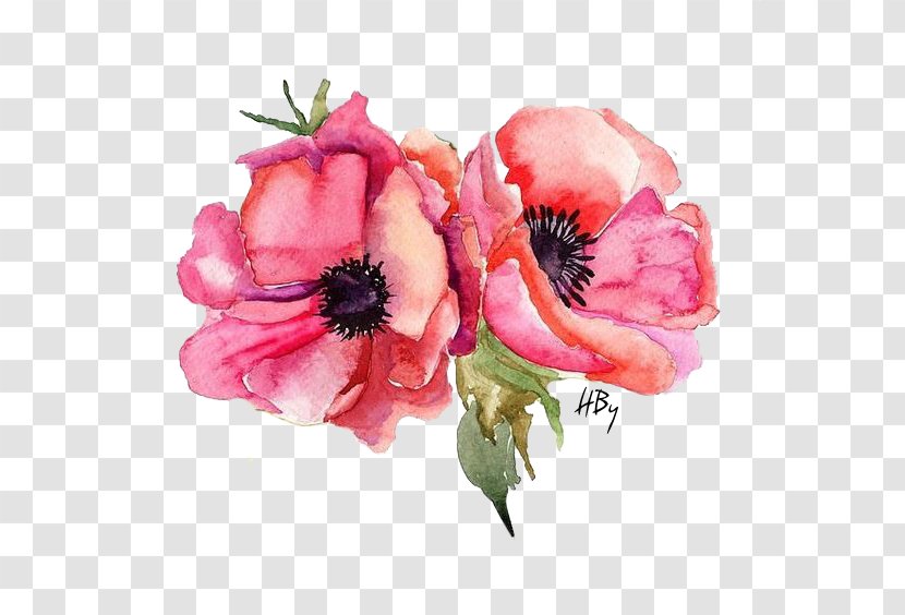 Watercolor Painting Stock Photography Poppy - Art Transparent PNG