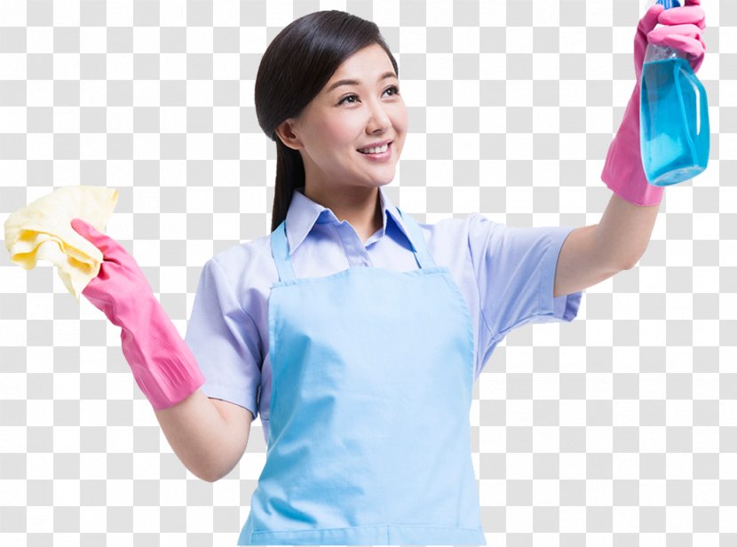 Janitor Stock Photography Cleaner - Tree - Clean The Glass Picture Transparent PNG