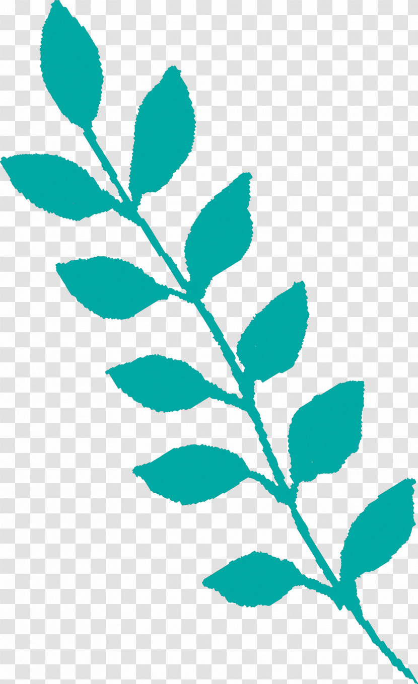 Leaf Plant Flower Tree Twig Transparent PNG