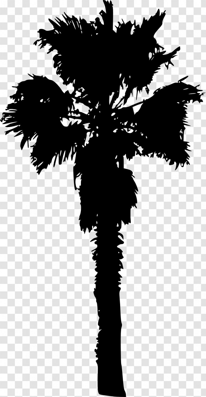 Tree Woody Plant Arecaceae - Monochrome Photography - Palm Trees Transparent PNG