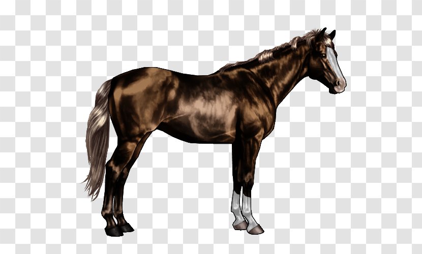 Thoroughbred American Quarter Horse Canadian Appaloosa Friesian - Heart - Fjord Transparent PNG