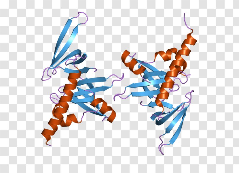 Gem-associated Protein 6 7 Survival Of Motor Neuron Gene - Gemassociated - Proteinsparing Modified Fast Transparent PNG