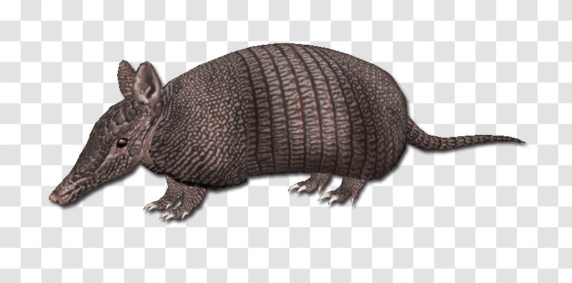 Armadillo Animal Architecture Warm-blooded Building - Heart - Cingulata Transparent PNG