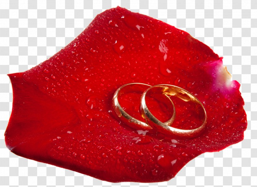 Love Wedding Ring Marriage - Romantic Transparent PNG