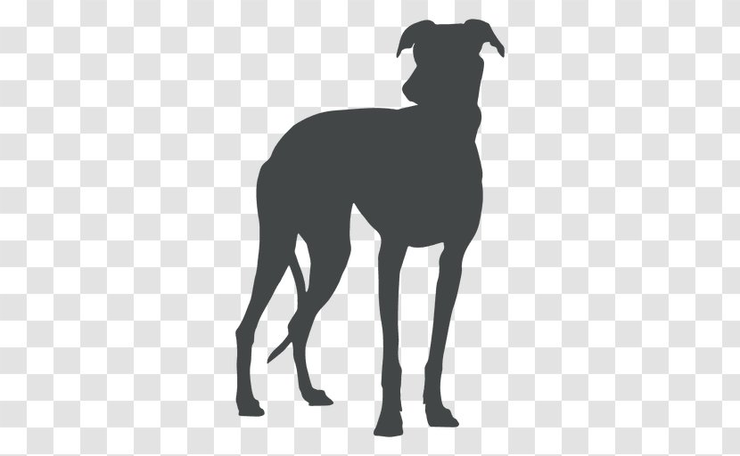 Great Dane Italian Greyhound Spanish Sloughi - Carnivoran - Dog Painting Transparent PNG