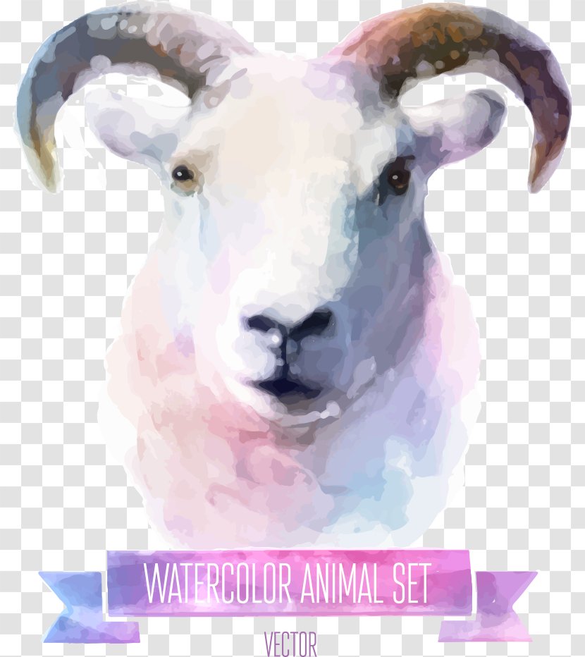Watercolor Painting Cuteness Illustration - Livestock - Vector Colored Goat Transparent PNG