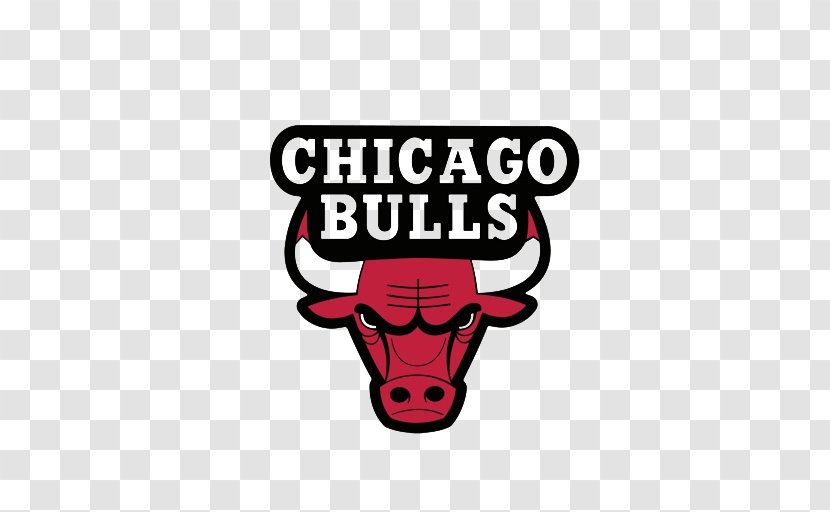 Chicago Bulls NBA Logo Decal - Brand - Transparent Image Transparent PNG
