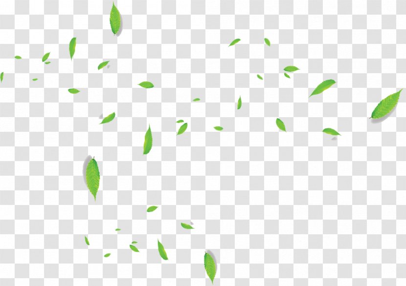 Green Leaf - Symmetry - Taobao Leaves Floating Material Transparent PNG