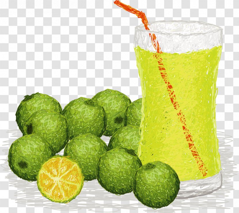 Juice Kaffir Lime Lemon Sisig Calamondin - Persian - Vector Painted Summer Transparent PNG