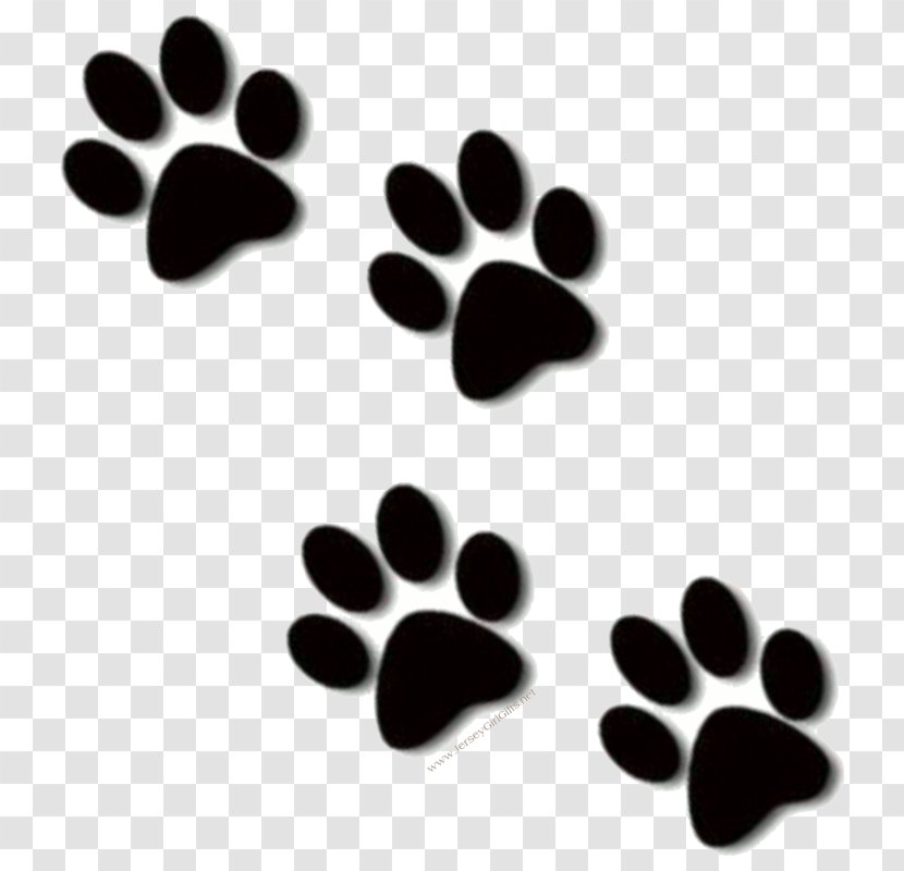 Lion Clip Art Paw Cat Dog Transparent PNG