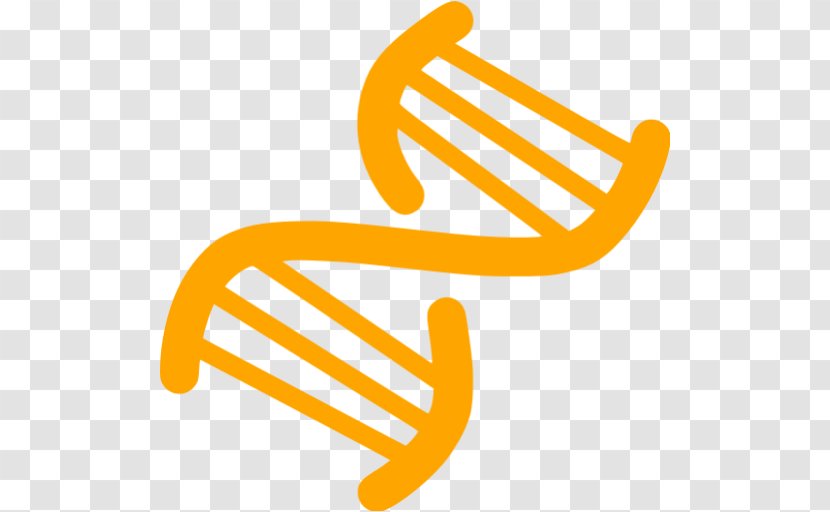 Nucleic Acid Double Helix The Helix: A Personal Account Of Discovery Structure DNA - Orange - Molecular Biology Transparent PNG
