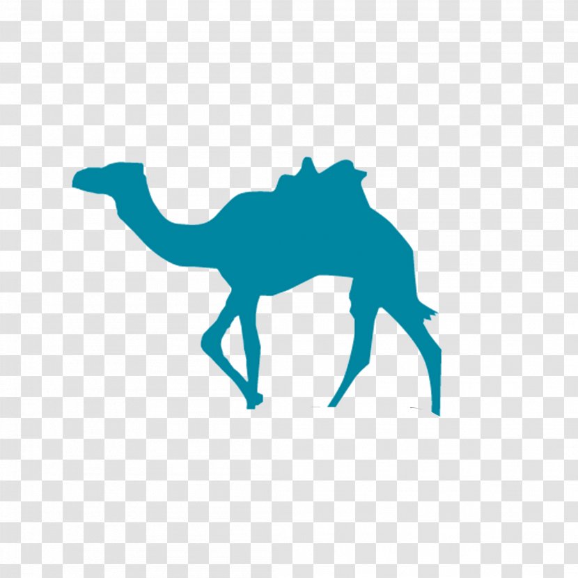Beijing Sanya Qunar Business Hotel - Water Camel Logo Transparent PNG