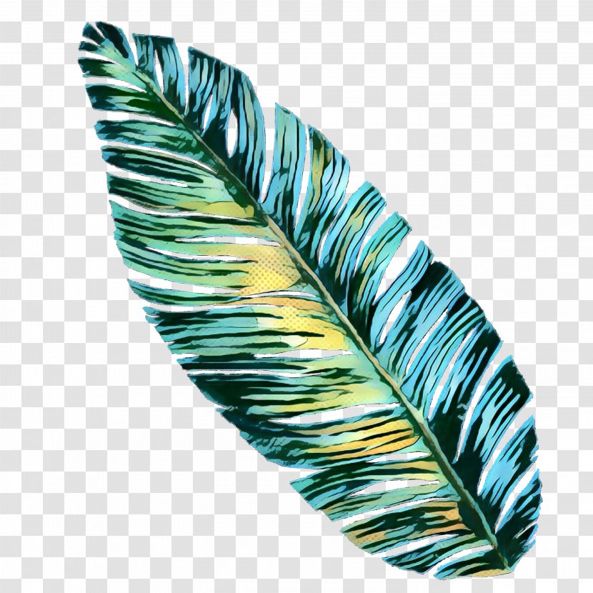 Feather - Retro - Plant Quill Transparent PNG